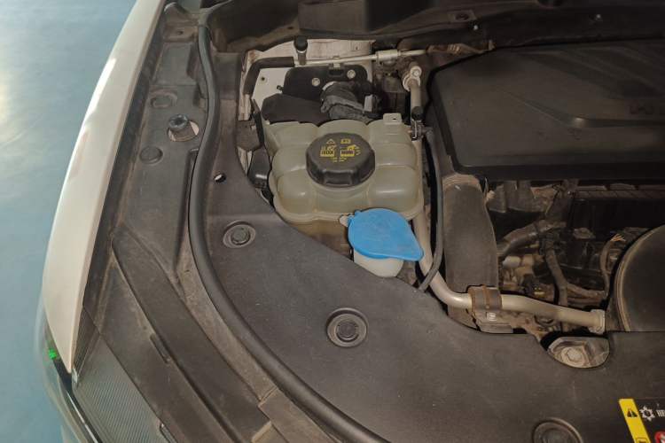 Used Haval F5 2019 National Trend Edition 1.5T i-Type China VI Standard Engine Bay Right