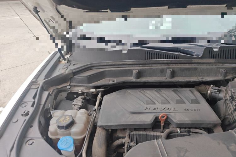 Used Haval F5 2019 National Trend Edition 1.5T i-Trend China VI Standard Engine Bay Right