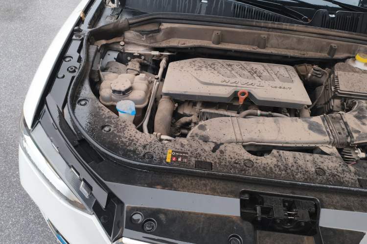 Used Haval F5 2019 National Trend Edition 1.5T i-Trend China VI Standard Engine Bay Right