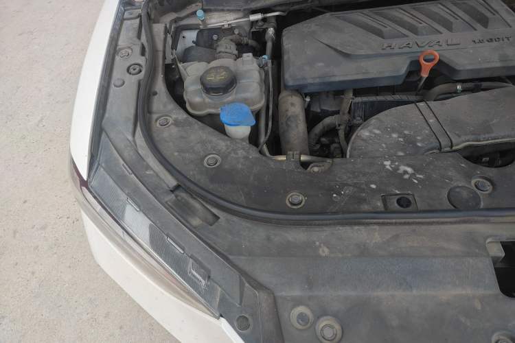 Used Haval F5 2019 National Trend Edition 1.5T i-Van China VI Standard Engine Bay Right