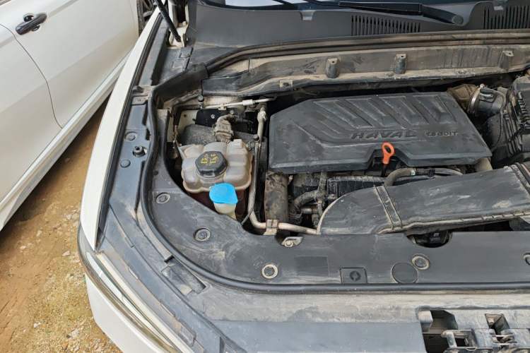 Used Haval F5 2019 National Trend Edition 1.5T i-Type China VI Standard Engine Bay Right