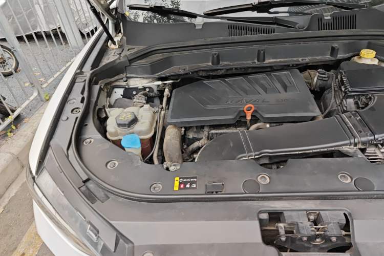 Used Haval F5 2019 National Trend Edition 1.5T i-Trend China VI Standard Engine Bay Right