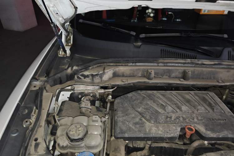 Used Haval F5 2019 National Trend Edition 1.5T i-Trend China VI Standard Engine Bay Right
