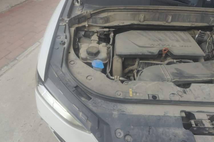 Used Haval F5 2019 National Trend Edition 1.5T i-Trend China VI Standard Engine Bay Right