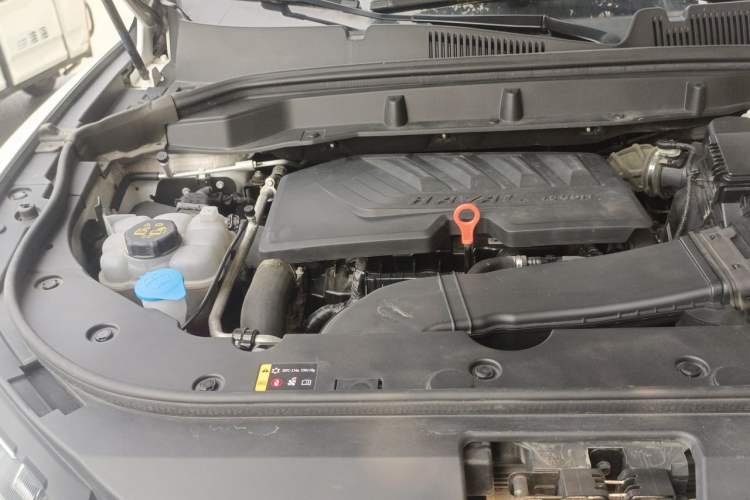 Used Haval F5 2019 National Trend Edition 1.5T i-Trend China VI Standard Engine Bay Right