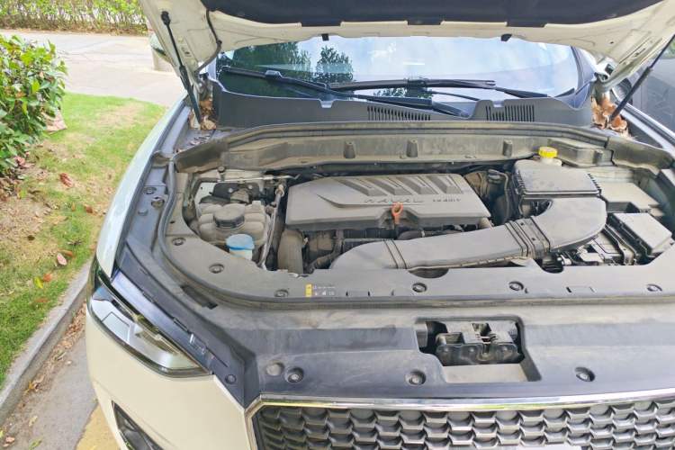 Used Haval F5 2019 National Trend Edition 1.5T i-Type China VI Standard Engine Bay Right