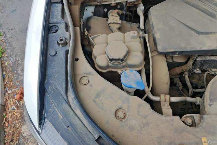 Used Haval F5 2019 National Trend Edition 1.5T i-Trend China VI Standard Engine Bay Right