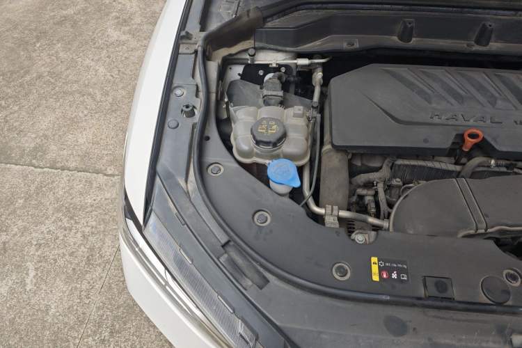 Used Haval F5 2019 National Trend Edition 1.5T i-Trend China VI Standard Engine Bay Right