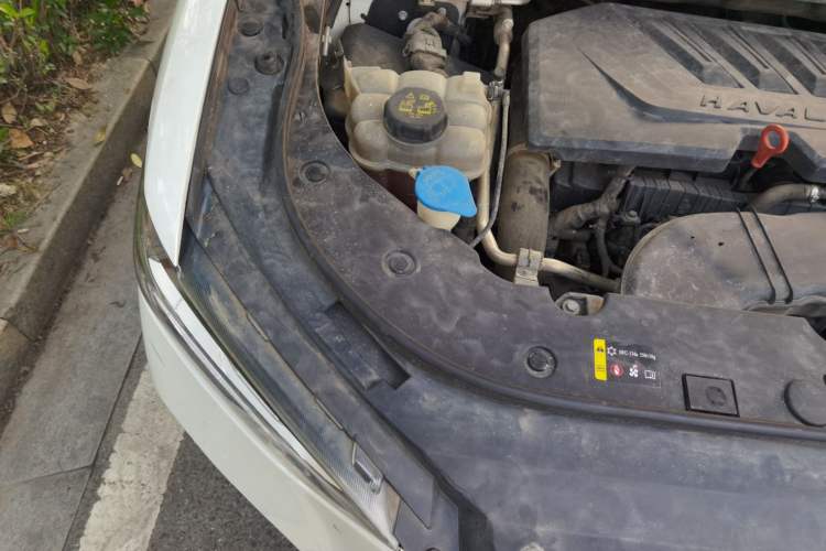 Used Haval F5 2019 National Trend Edition 1.5T i-Trend China VI Standard Engine Bay Right