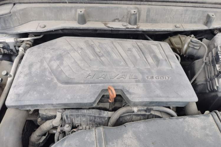 Used Haval F5 2019 National Trend Edition 1.5T i-Trend China VI Standard Engine Bay