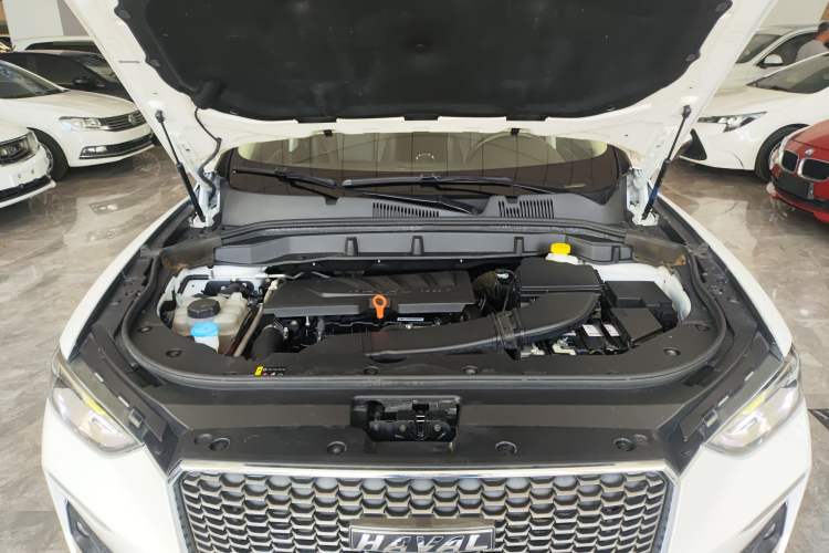 Used Haval F5 2019 National Trend Edition 1.5T i-Trend China VI Standard Engine Bay