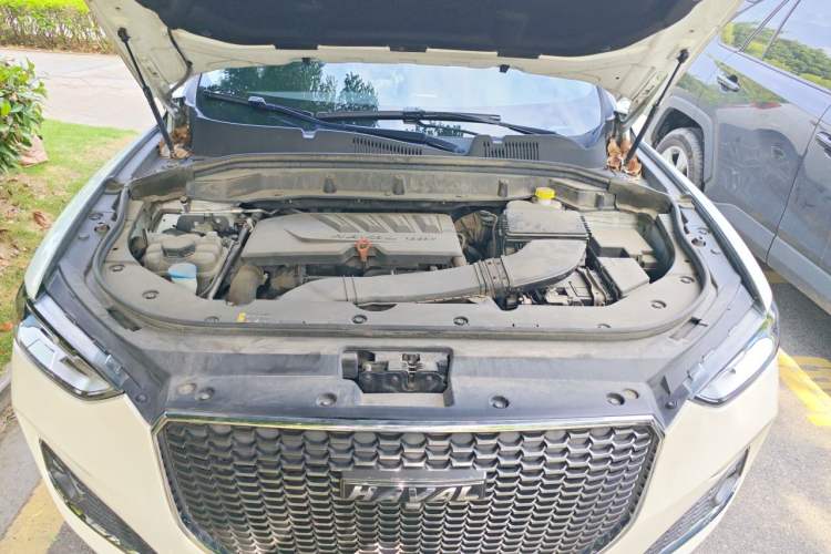 Used Haval F5 2019 National Trend Edition 1.5T i-Type China VI Standard Engine Bay