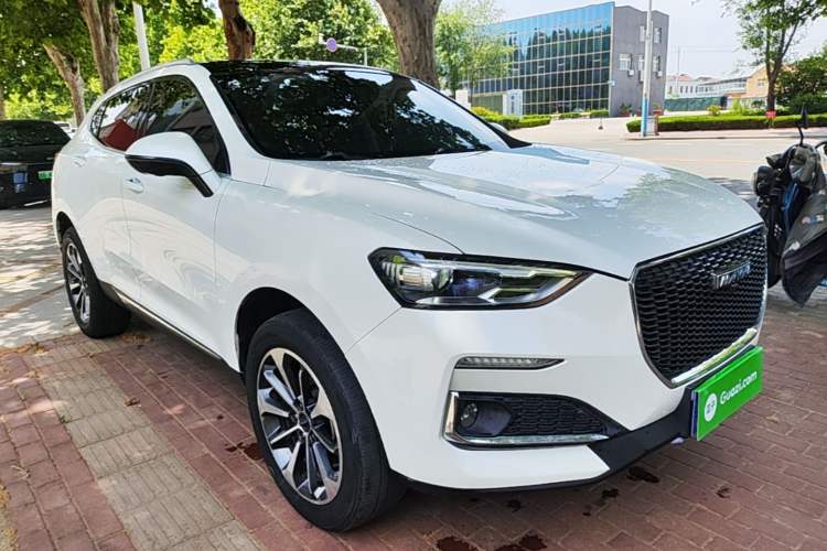 Used Haval F5 2019 National Trend Edition 1.5T i-Trend China VI Standard Exterior 1