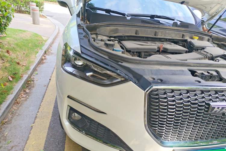 Used Haval F5 2019 National Trend Edition 1.5T i-Type China VI Standard Exterior 6