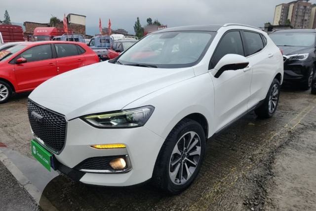 Haval F5 2019 National Trend Edition 1.5T i-Trend China VI Standard de segunda mano