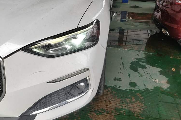 Used Haval F5 2019 National Trend Edition 1.5T i-Trend China VI Standard Left Front Headlight