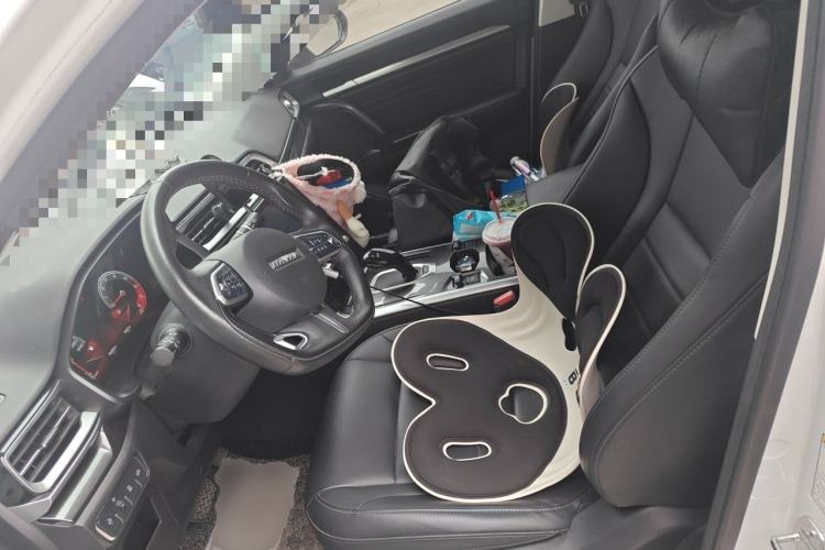 Used Haval F5 2019 National Trend Edition 1.5T i-Trend China VI Standard Left Front Seat