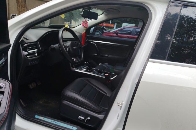 Used Haval F5 2019 National Trend Edition 1.5T i-Trend China VI Standard Left Front Seat