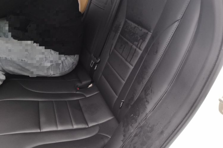 Used Haval F5 2019 National Trend Edition 1.5T i-Trend China VI Standard Left Rear Seat