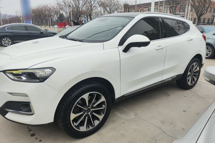 Used Haval F5 2019 National Trend Edition 1.5T i-Trend China VI Standard Left Side