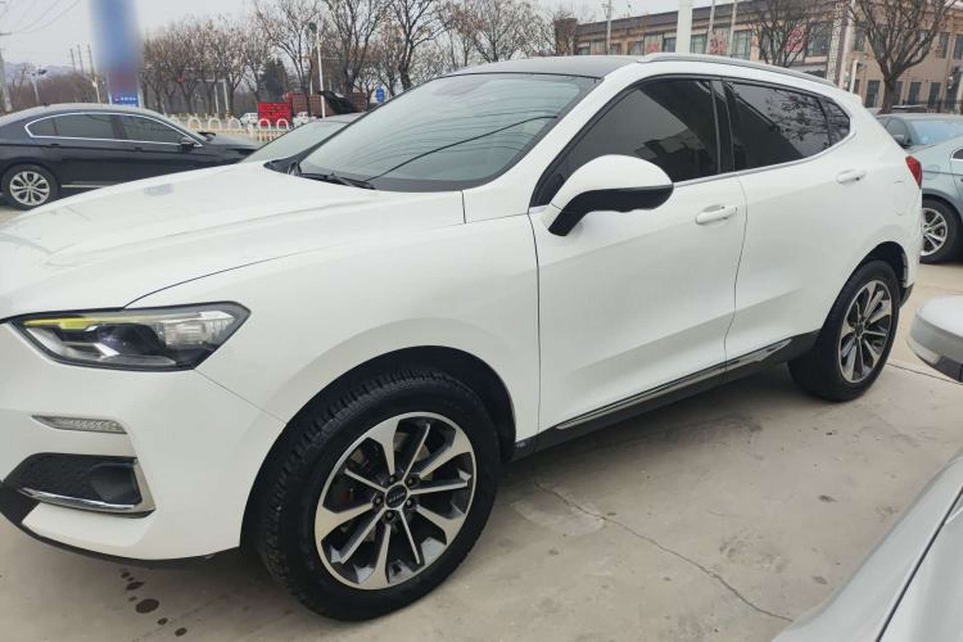 Used Haval F5 2019 National Trend Edition 1.5T i-Trend China VI Standard Left Side
