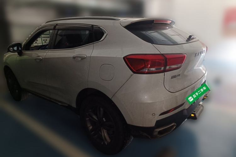Used Haval F5 2019 National Trend Edition 1.5T i-Type China VI Standard Rear Left 45 Deg