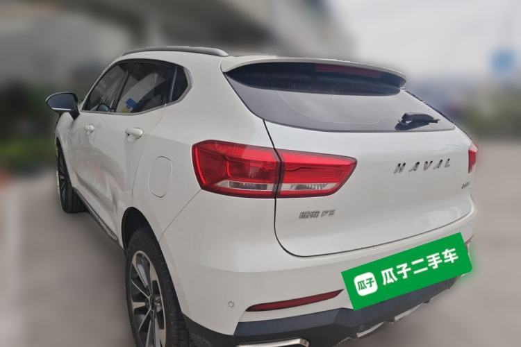 Used Haval F5 2019 National Trend Edition 1.5T i-Trend China VI Standard Rear Left 45 Deg