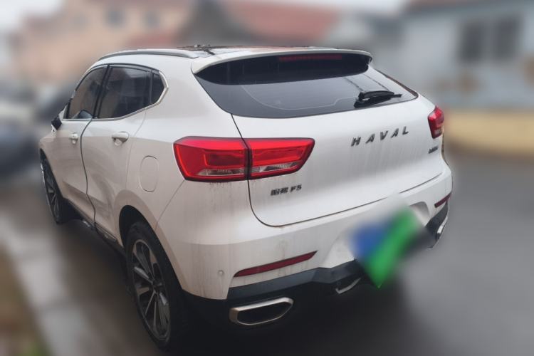 Used Haval F5 2019 National Trend Edition 1.5T i-Trend China VI Standard Rear Left 45 Deg