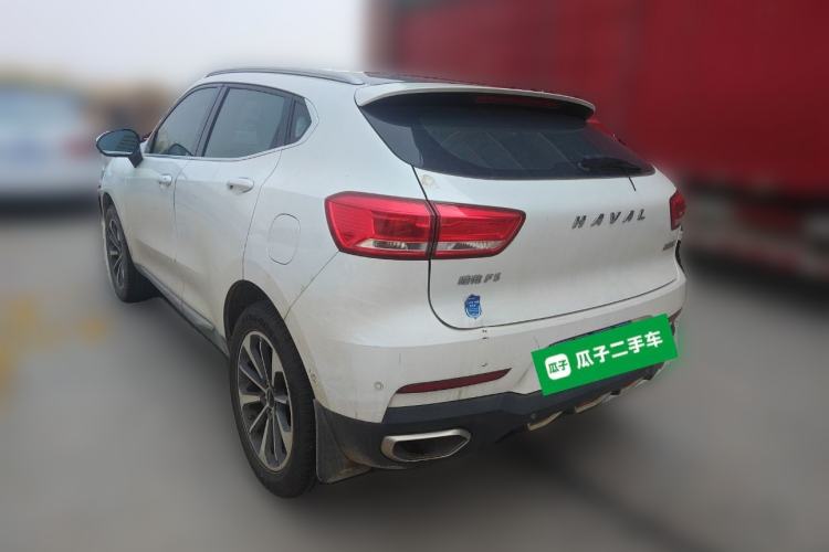 Used Haval F5 2019 National Trend Edition 1.5T i-Van China VI Standard Rear Left 45 Deg