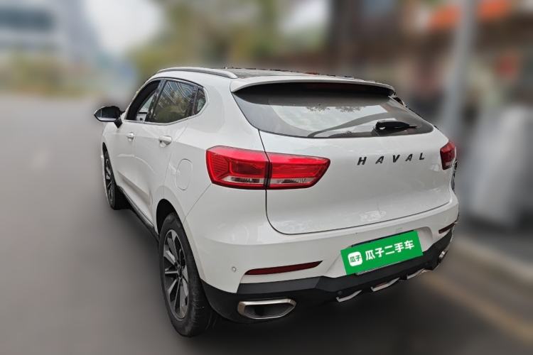 Used Haval F5 2019 National Trend Edition 1.5T i-Trend China VI Standard Rear Left 45 Deg