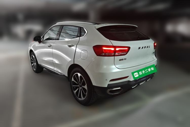 Used Haval F5 2019 National Trend Edition 1.5T i-Trend China VI Standard Rear Left 45 Deg