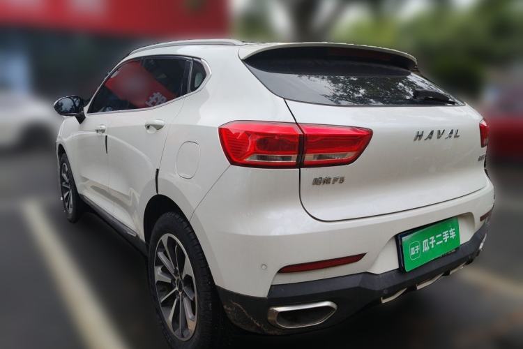Used Haval F5 2019 National Trend Edition 1.5T i-Trend China VI Standard Rear Left 45 Deg