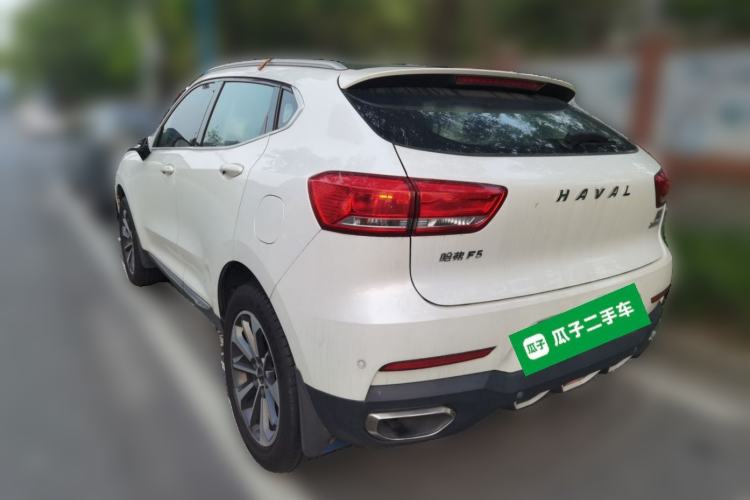 Used Haval F5 2019 National Trend Edition 1.5T i-Trend China VI Standard Rear Left 45 Deg