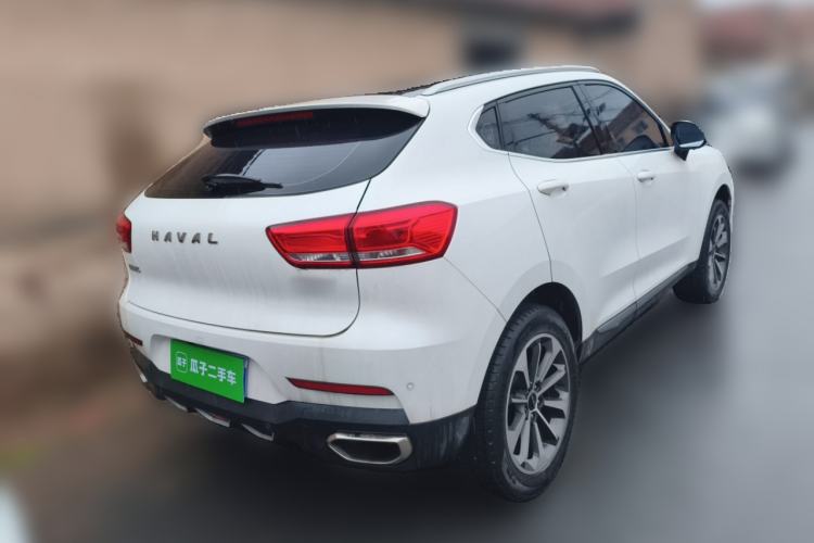 Used Haval F5 2019 National Trend Edition 1.5T i-Trend China VI Standard Rear Right 45 Deg