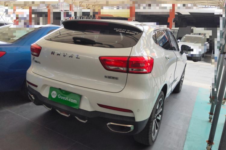 Used Haval F5 2019 National Trend Edition 1.5T i-Van China VI Standard Rear Right 45 Deg