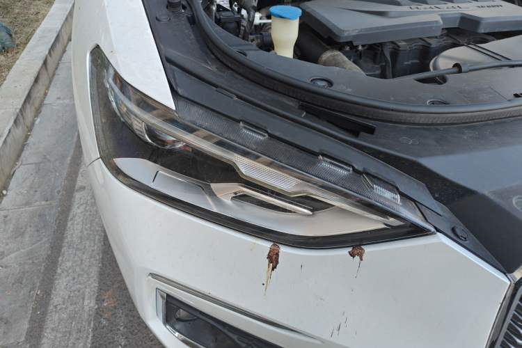 Used Haval F5 2019 National Trend Edition 1.5T i-Type China V standard Right Front Headlight