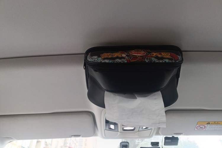 Used Haval F5 2020 1.5T DCT Type I Headliner