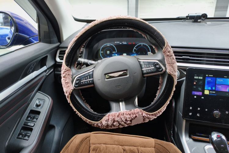 Used Haval F5 2020 1.5T DCT iXuan Steering Wheel