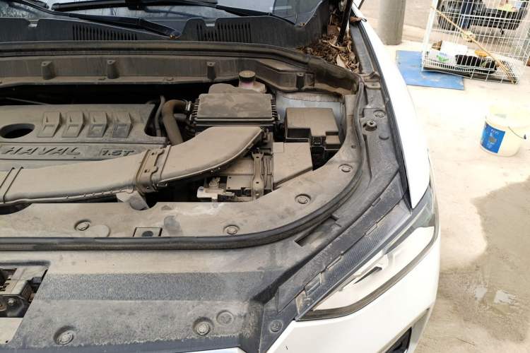 Used Haval F5 2020 1.5T DCT Type I Engine Bay Left