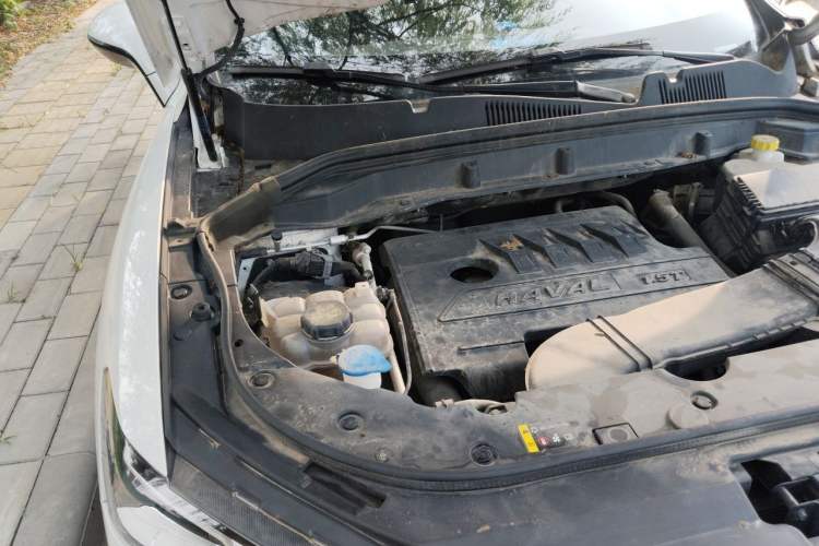 Used Haval F5 2020 1.5T DCT Type I Engine Bay Right
