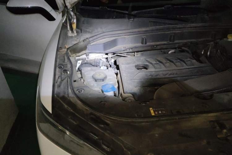 Used Haval F5 2020 1.5T DCT Type I Engine Bay Right
