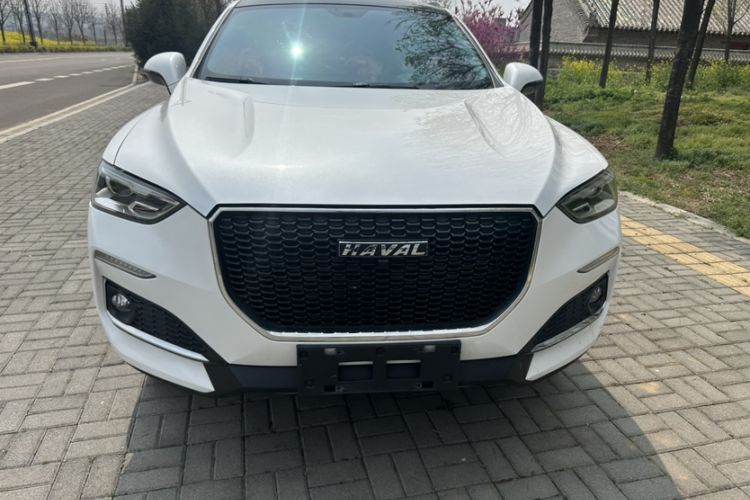 Used Haval F5 2020 1.5T DCT Type I Exterior 1