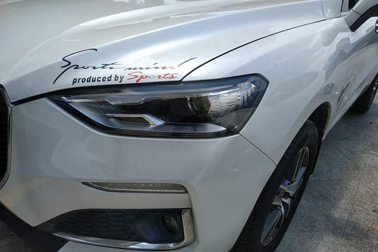 Used Haval F5 2020 1.5T DCT Type I Left Front Headlight