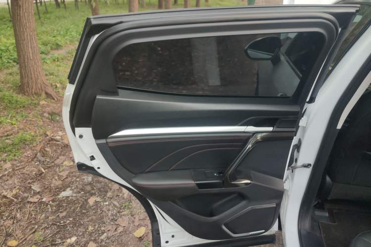 Used Haval F5 2020 1.5T DCT iXuan Left Rear Door Interior