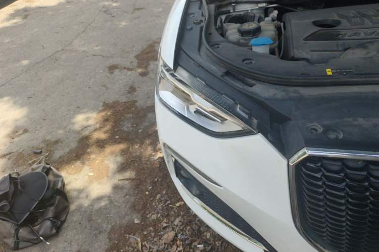 Used Haval F5 2020 1.5T Manual iCool Right Front Headlight