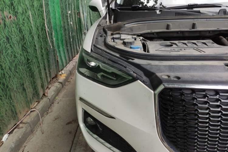 Used Haval F5 2020 1.5T DCT Type I Right Front Headlight