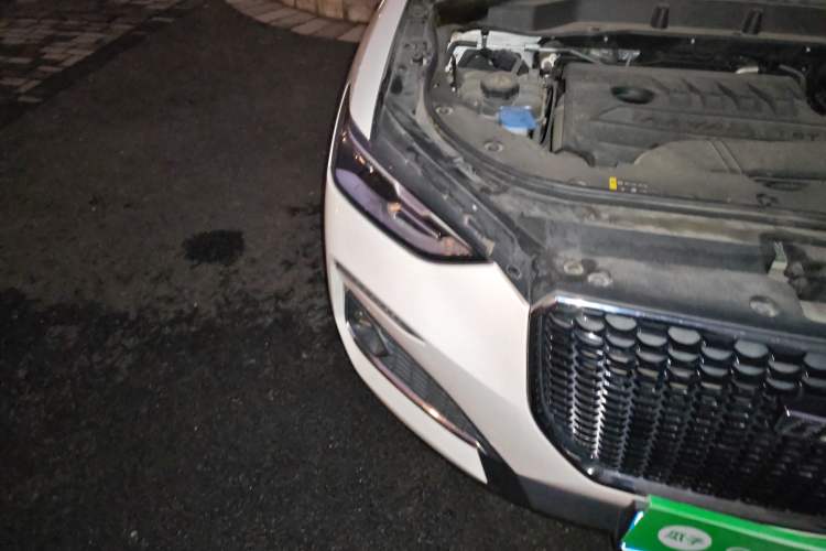 Used Haval F5 2020 1.5T DCT iXuan Right Front Headlight