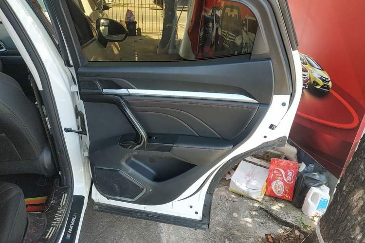 Used Haval F5 2020 1.5T DCT Type I Right Rear Door Interior