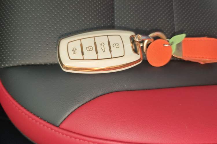 Used Haval F5 2020 1.5T DCT Type I Vehicle Key