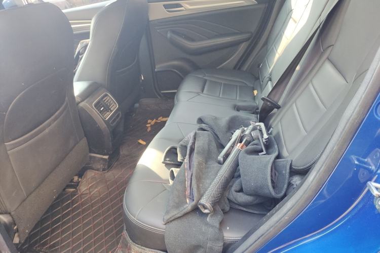 Used Haval F7 2020 1.5T Two-Wheel Drive i-Trend Left Rear Seat